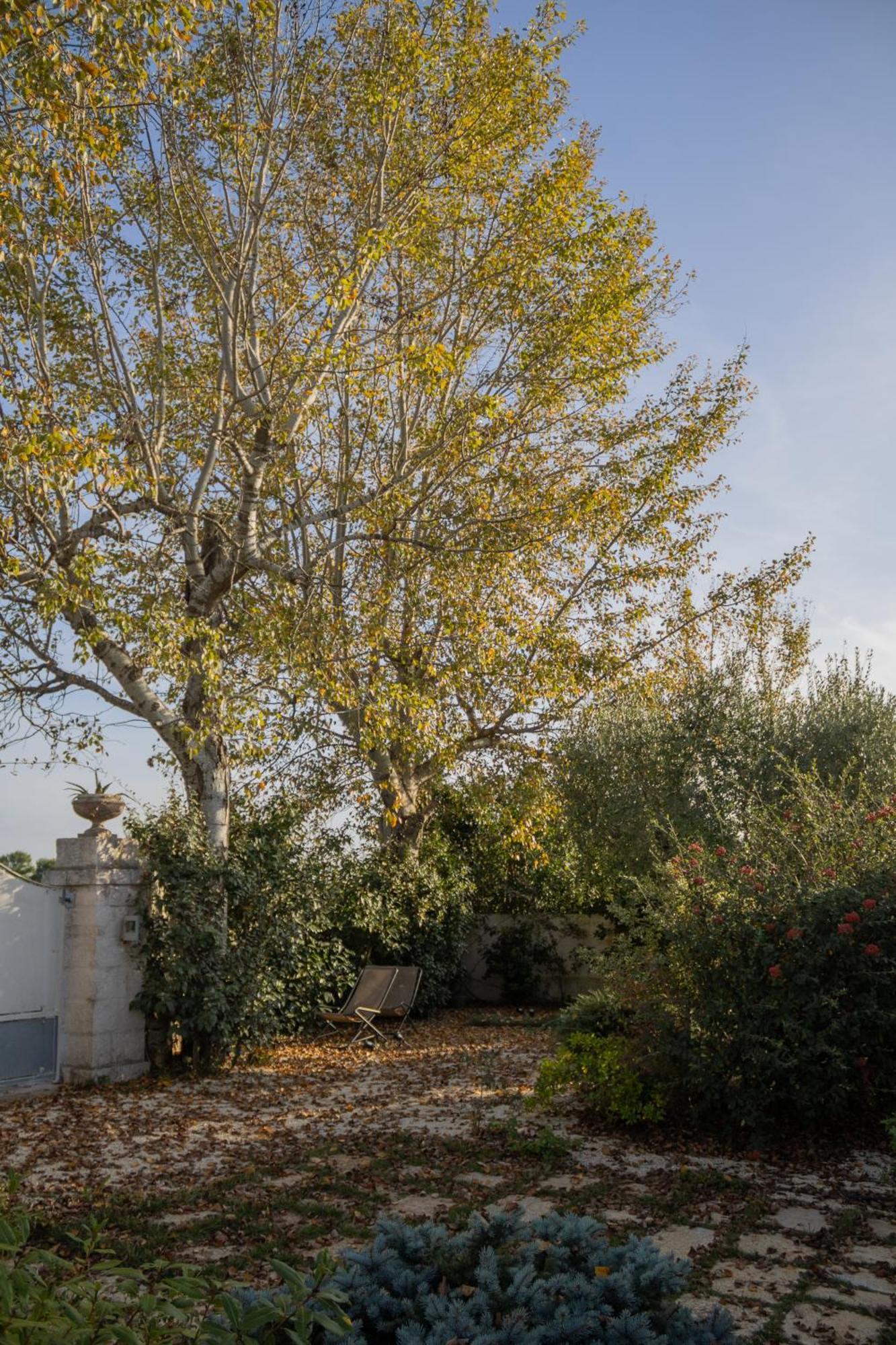 Villa Ada-Trulli Puglia Мартина-Франка Экстерьер фото