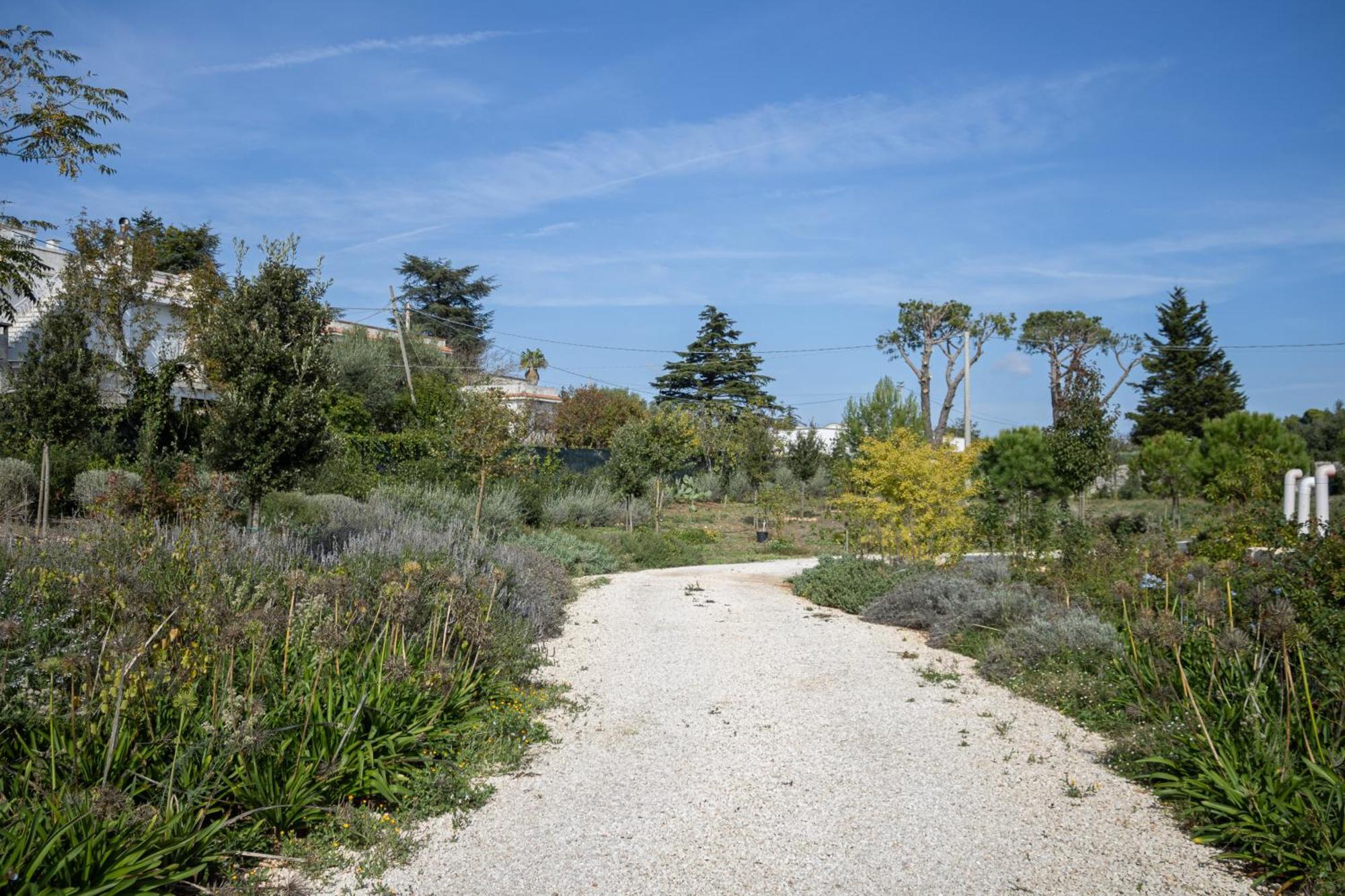 Villa Ada-Trulli Puglia Мартина-Франка Экстерьер фото